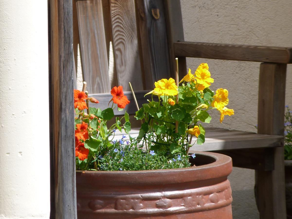 B & B Au Dela Du Temps Saint-Mamet Zewnętrze zdjęcie